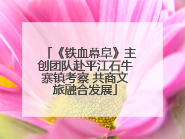 《铁血幕阜》主创团队赴平江石牛寨镇考察 共商文旅融合发展