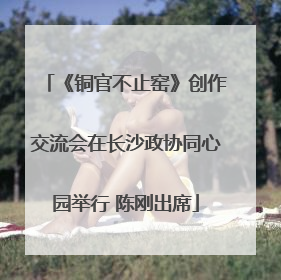 《铜官不止窑》创作交流会在长沙政协同心园举行 陈刚出席