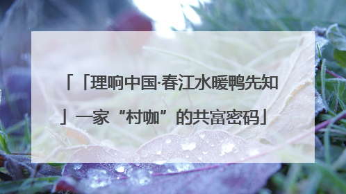 「理响中国·春江水暖鸭先知」一家“村咖”的共富密码