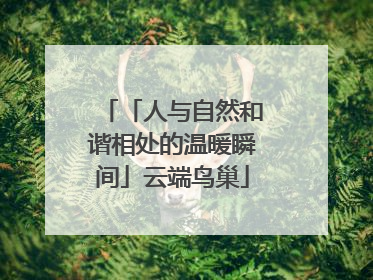 「人与自然和谐相处的温暖瞬间」云端鸟巢