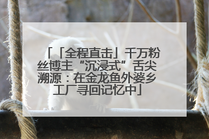 「全程直击」千万粉丝博主“沉浸式”舌尖溯源：在金龙鱼外婆乡工厂寻回记忆中