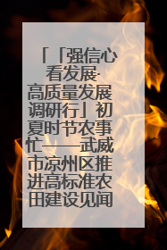 「强信心 看发展·高质量发展调研行」初夏时节农事忙——武威市凉州区推进高标准农田建设见闻