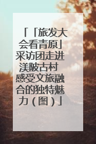 「旅发大会看青原」采访团走进渼陂古村 感受文旅融合的独特魅力（图）