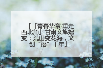 「青春华章·重走西北角」甘肃文旅嬗变：荒山变花海，文创“语”千年