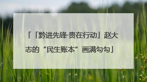 「黔进先锋·贵在行动」赵大志的“民生账本”画满勾勾