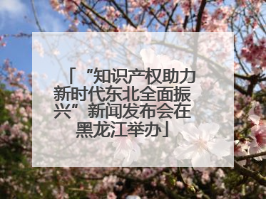 “知识产权助力新时代东北全面振兴”新闻发布会在黑龙江举办