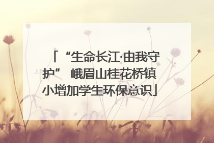 “生命长江·由我守护” 峨眉山桂花桥镇小增加学生环保意识