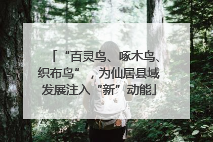 “百灵鸟、啄木鸟、织布鸟”，为仙居县域发展注入“新”动能