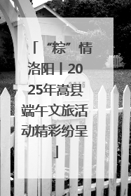 “粽”情洛阳丨2025年嵩县端午文旅活动精彩纷呈