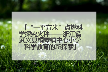 “一平方米”点燃科学探究火种——浙江省武义县桐琴镇中心小学科学教育的新探索