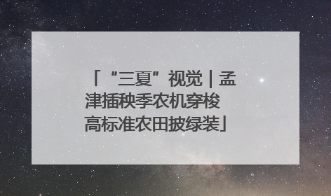 “三夏”视觉｜孟津插秧季农机穿梭 高标准农田披绿装