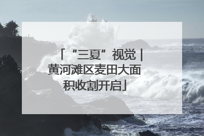 “三夏”视觉｜黄河滩区麦田大面积收割开启