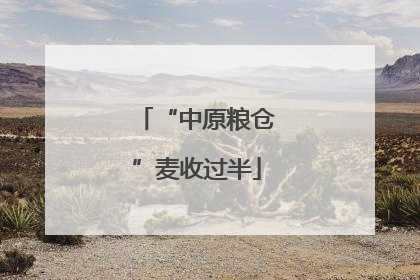 “中原粮仓”麦收过半