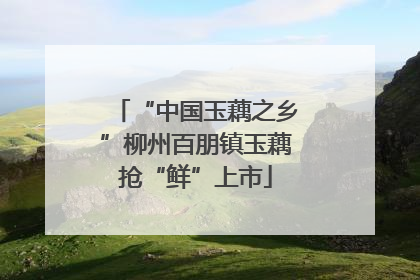 “中国玉藕之乡”柳州百朋镇玉藕抢“鲜”上市