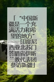 “中国新疆是一个充满活力和希望的地方”——印度尼西亚北苏门答腊省伊斯兰教代表团参访新疆