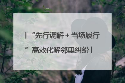 “先行调解＋当场履行”高效化解邻里纠纷