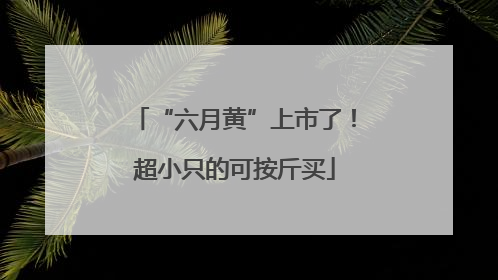 “六月黄”上市了！超小只的可按斤买