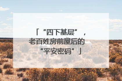 “四下基层”，老百姓房前屋后的“平安密码”