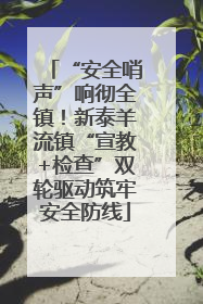 “安全哨声”响彻全镇！新泰羊流镇“宣教+检查”双轮驱动筑牢安全防线