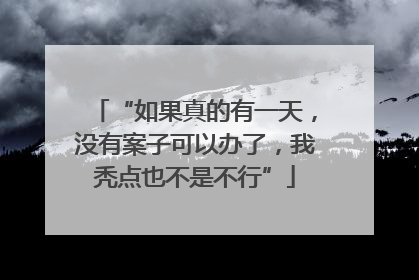 “如果真的有一天，没有案子可以办了，我秃点也不是不行”