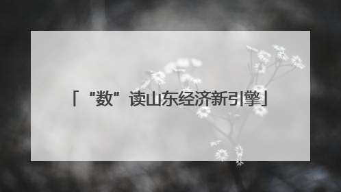 “数”读山东经济新引擎