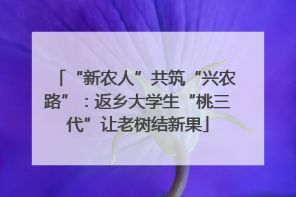 “新农人”共筑“兴农路”：返乡大学生“桃三代”让老树结新果