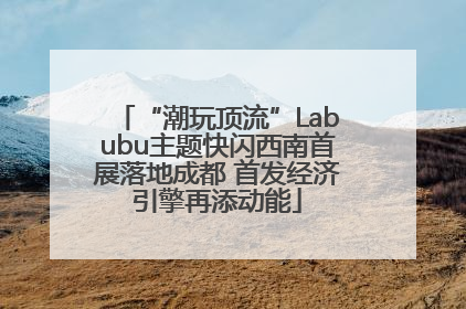 “潮玩顶流”Labubu主题快闪西南首展落地成都 首发经济引擎再添动能