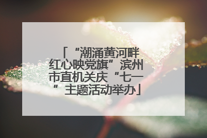 “潮涌黄河畔 红心映党旗”滨州市直机关庆“七一”主题活动举办