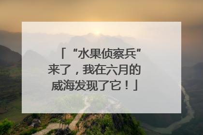 “水果侦察兵”来了，我在六月的威海发现了它！