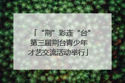 “荆”彩连“台” 第三届荆台青少年才艺交流活动举行