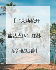 “茉莉花开·盐艺直达”江苏滨海站启幕