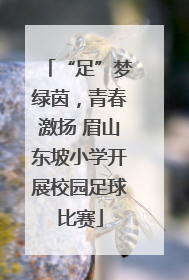 “足”梦绿茵，青春激扬 眉山东坡小学开展校园足球比赛