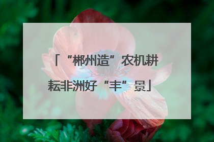 “郴州造”农机耕耘非洲好“丰”景