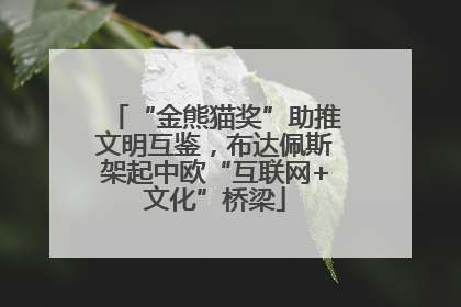 “金熊猫奖”助推文明互鉴，布达佩斯架起中欧“互联网+文化”桥梁