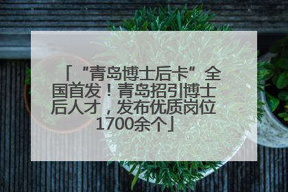 “青岛博士后卡”全国首发！青岛招引博士后人才，发布优质岗位1700余个