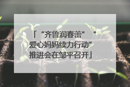 “齐鲁润春蕾”“爱心妈妈续力行动”推进会在邹平召开