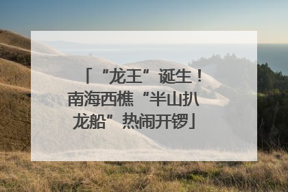 “龙王”诞生！南海西樵“半山扒龙船”热闹开锣