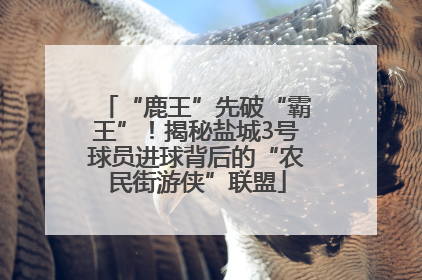 “鹿王”先破“霸王”！揭秘盐城3号球员进球背后的“农民街游侠”联盟