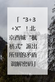 “3+3+X”！北京西城“枫桥式”派出所里的矛盾调解密码