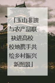 玉山非遗与农产品联袂进高校 校地携手共绘乡村振兴新图景