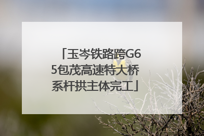 玉岑铁路跨G65包茂高速特大桥系杆拱主体完工