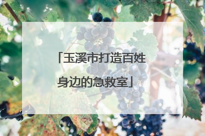 玉溪市打造百姓身边的急救室