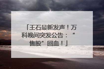 王石最新发声！万科晚间突发公告：“售股”回血！