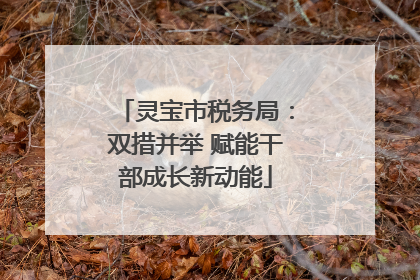 灵宝市税务局：双措并举 赋能干部成长新动能