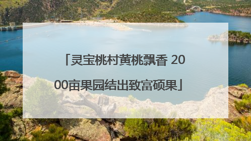 灵宝桃村黄桃飘香 2000亩果园结出致富硕果