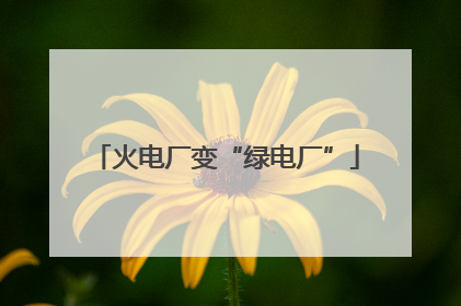 火电厂变“绿电厂”