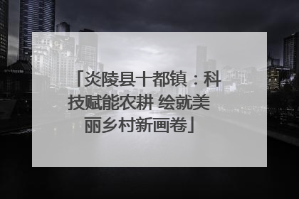 炎陵县十都镇：科技赋能农耕 绘就美丽乡村新画卷