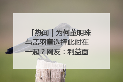 热闻｜为何董明珠与孟羽童选择此时在一起？网友：利益面前啥都能和解