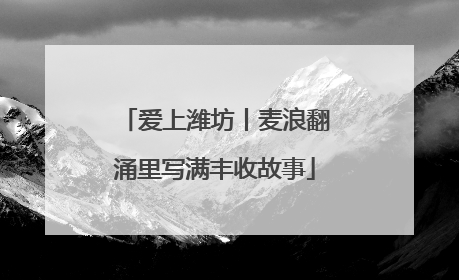 爱上潍坊丨麦浪翻涌里写满丰收故事