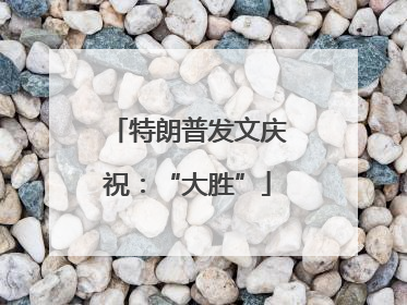 特朗普发文庆祝：“大胜”